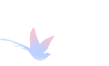 640